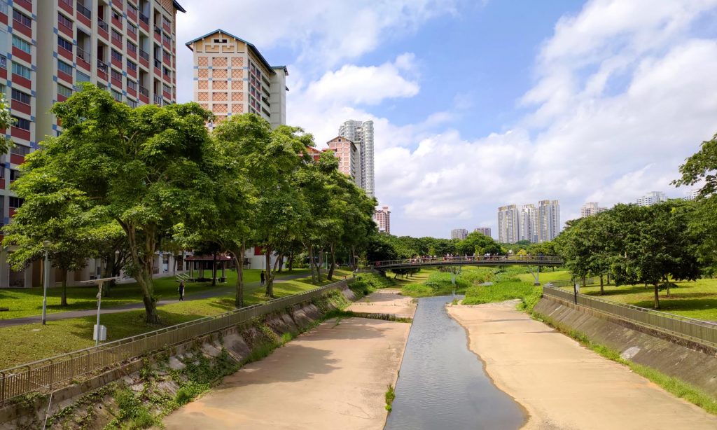 Studying at Bishan Park Singapore